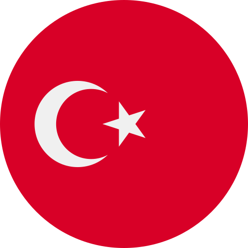 Turkey - Istanbul flag